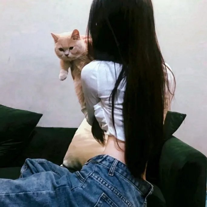 章鲨